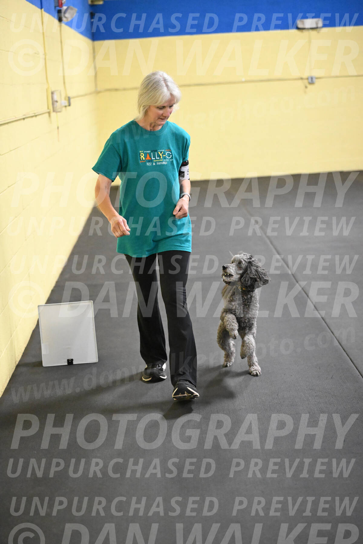SAT502_0082