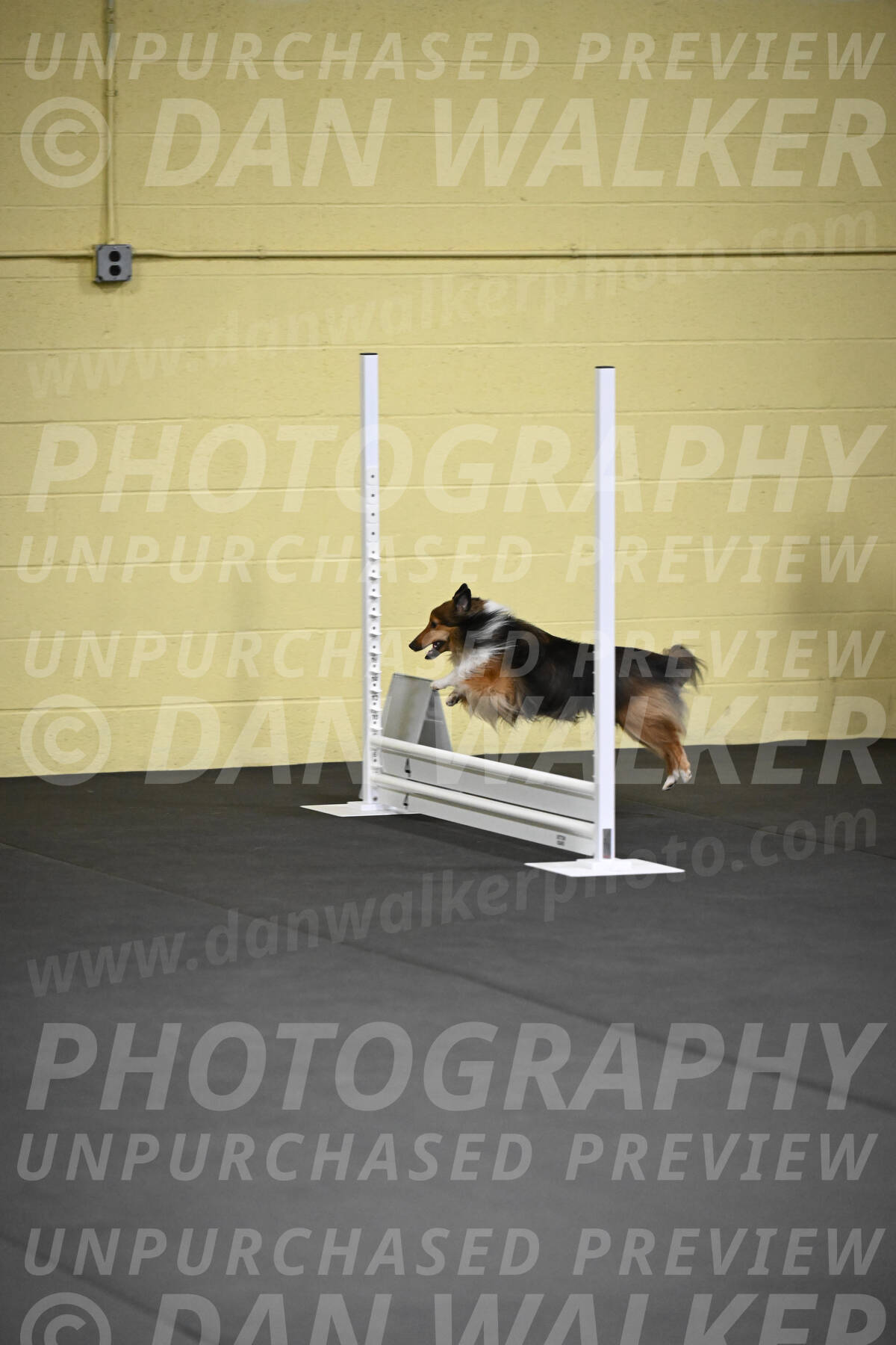 SAT503_0007