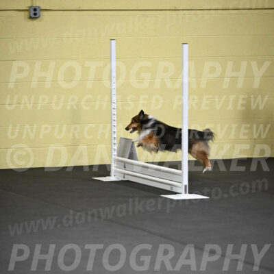 SAT503_0007
