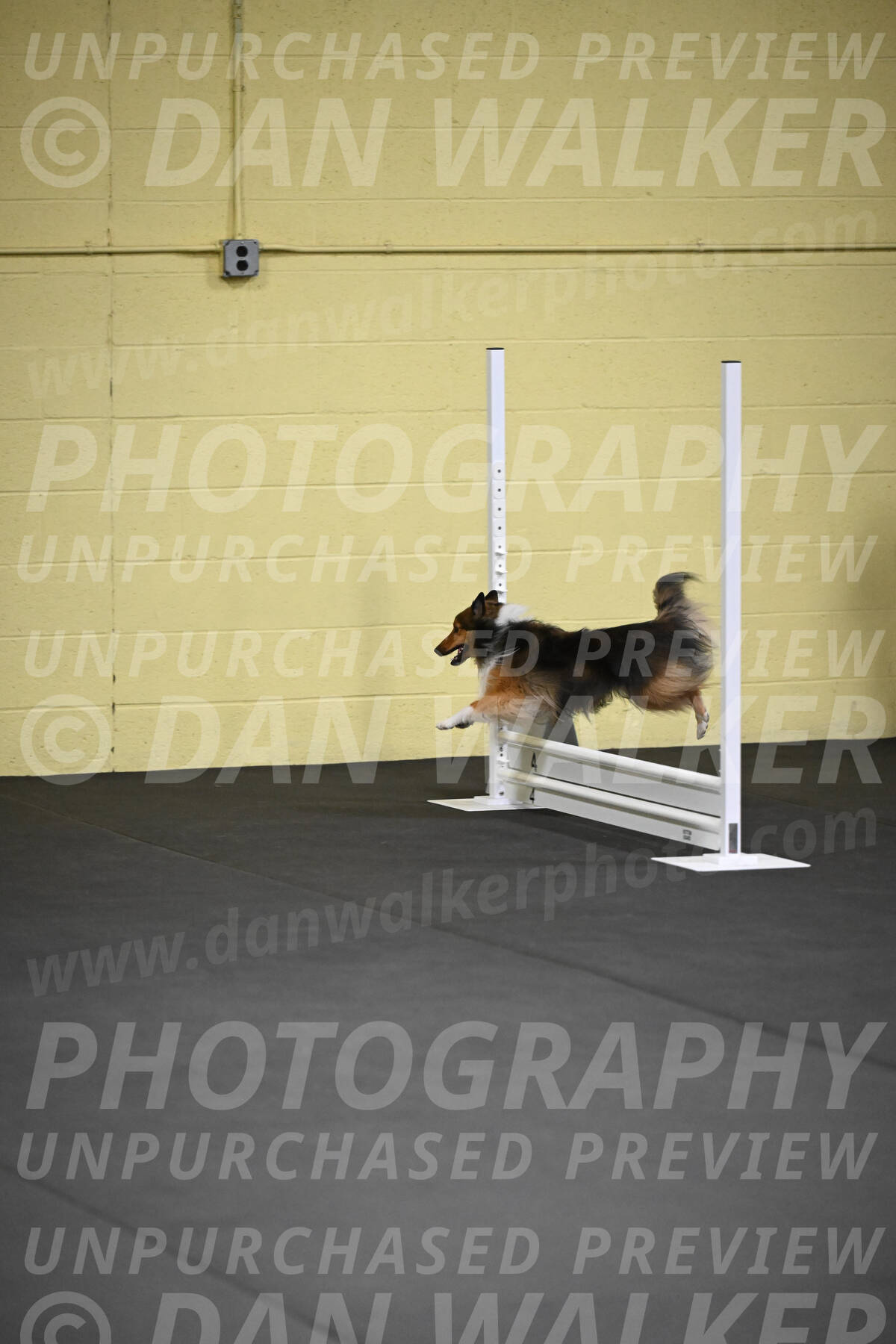SAT503_0008