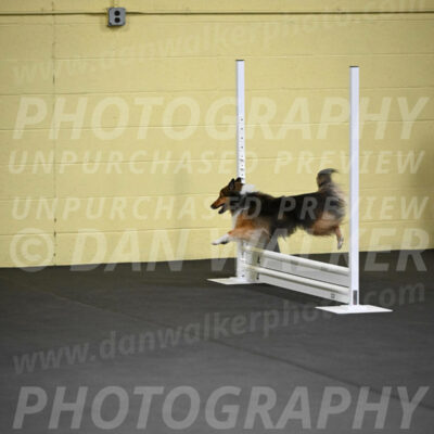 SAT503_0008