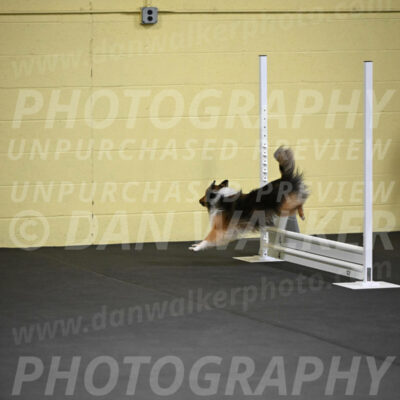 SAT503_0009