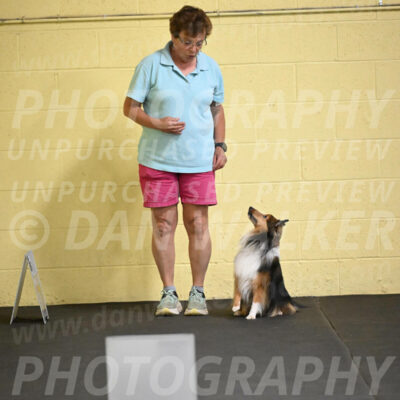 SAT503_0018