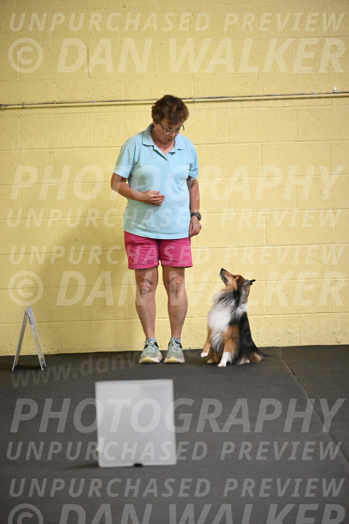 SAT503_0019