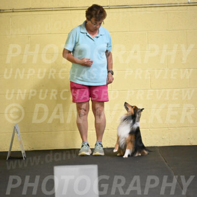 SAT503_0019