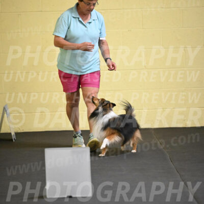 SAT503_0023