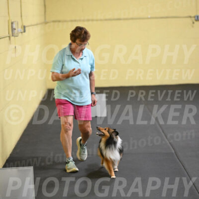 SAT503_0058