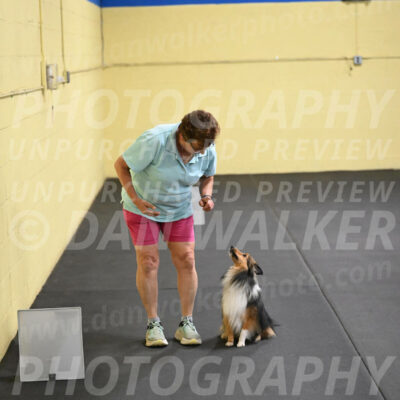 SAT503_0065