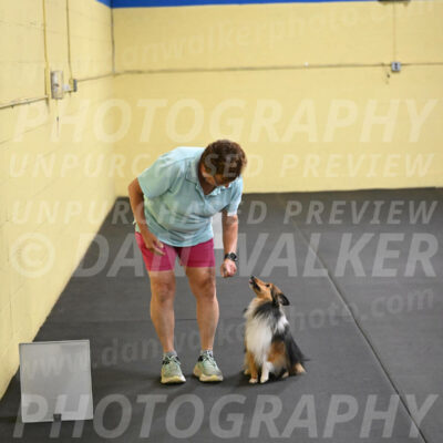 SAT503_0066