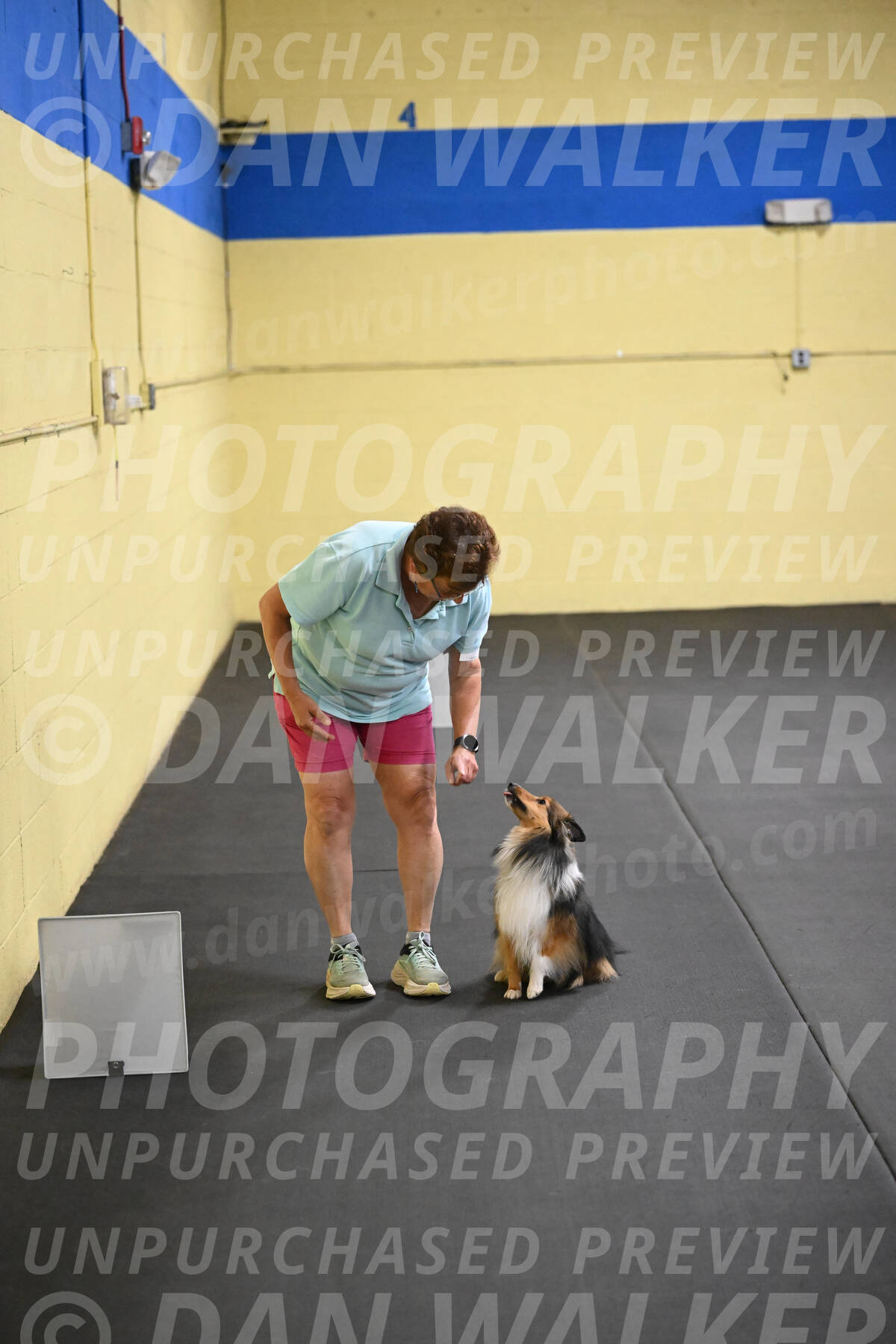 SAT503_0066