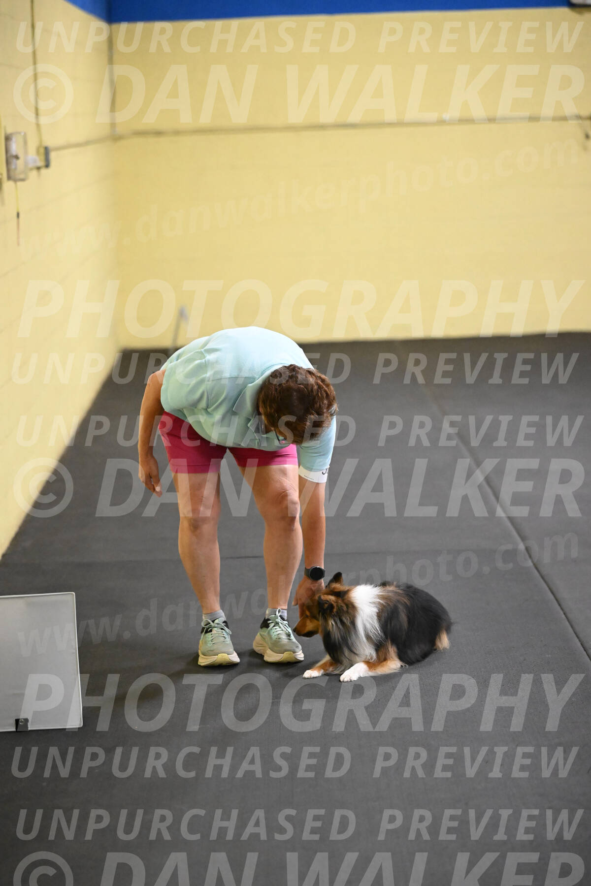SAT503_0067