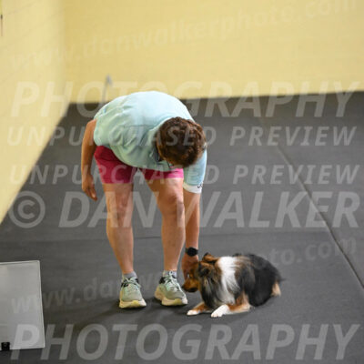 SAT503_0069