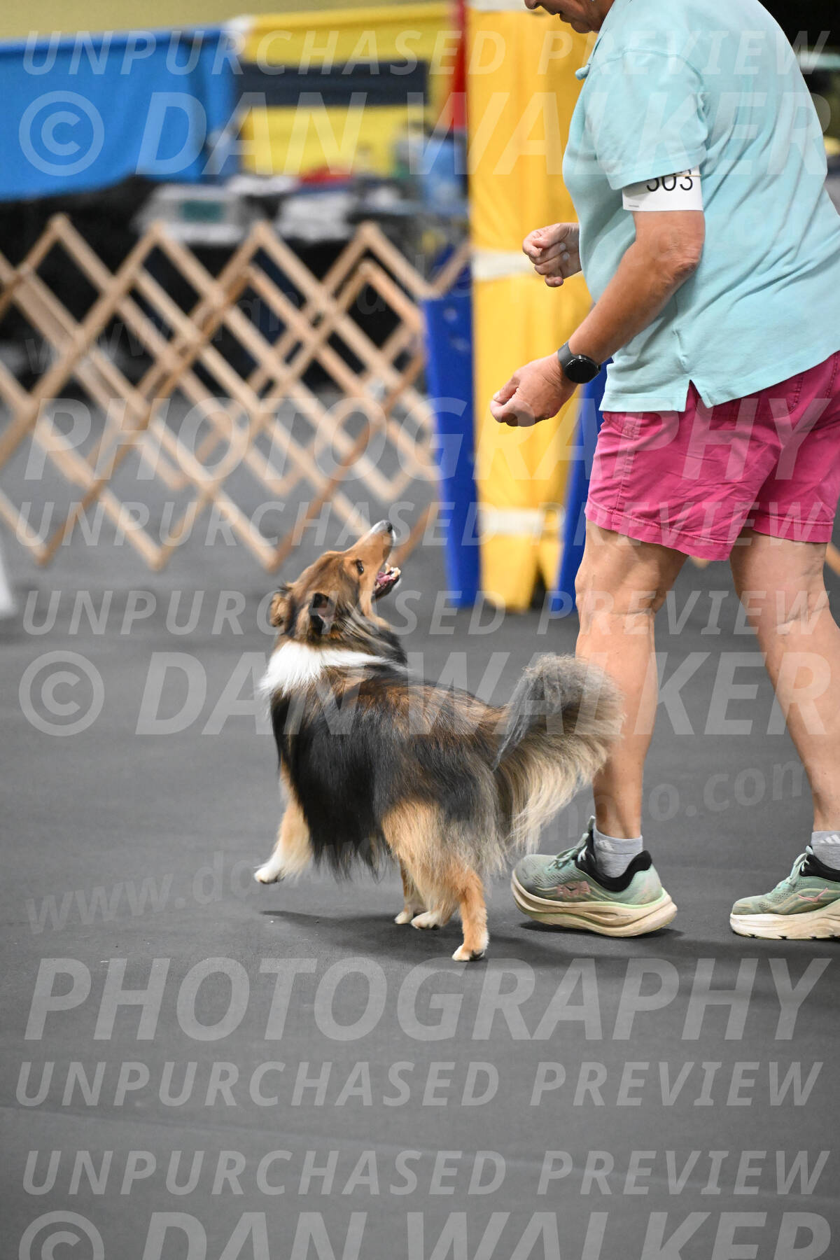 SAT503_0072