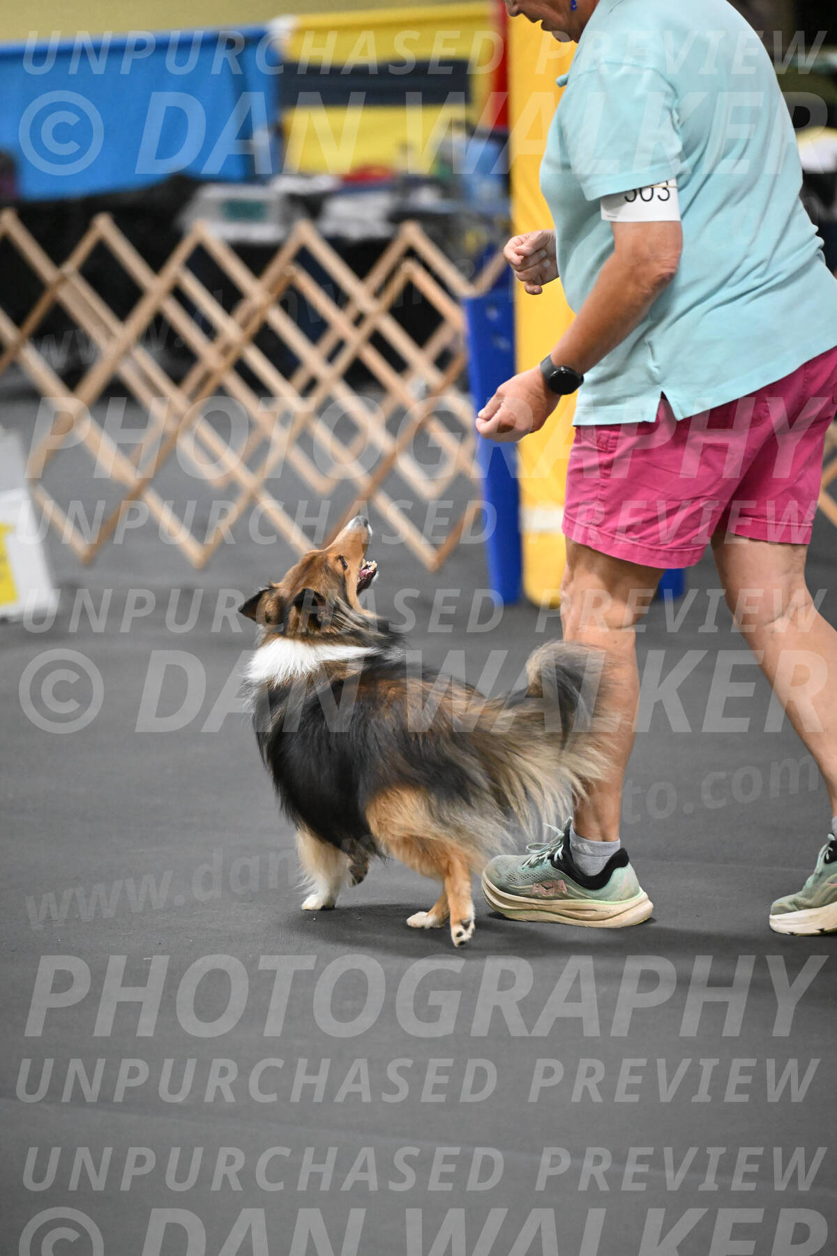 SAT503_0073