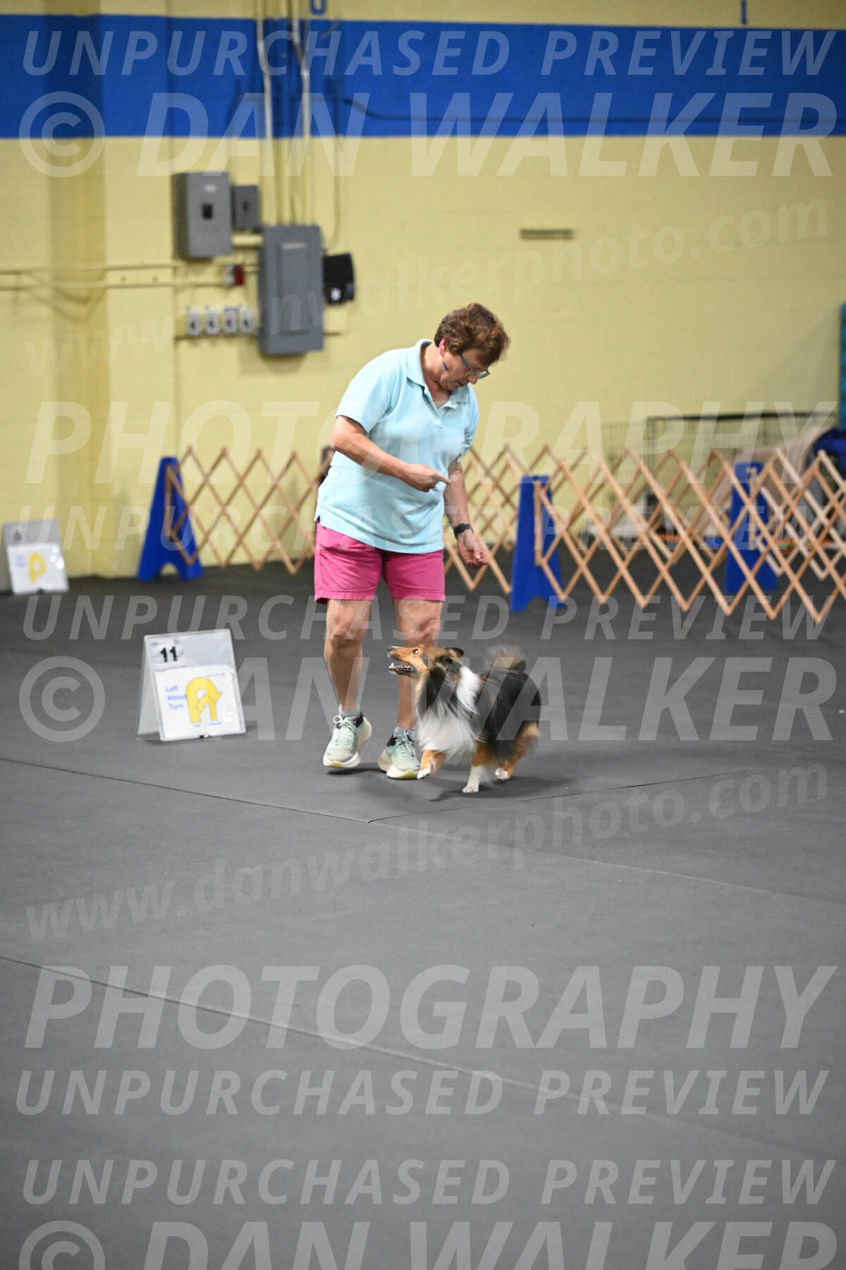 SAT503_0074