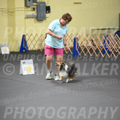 SAT503_0074