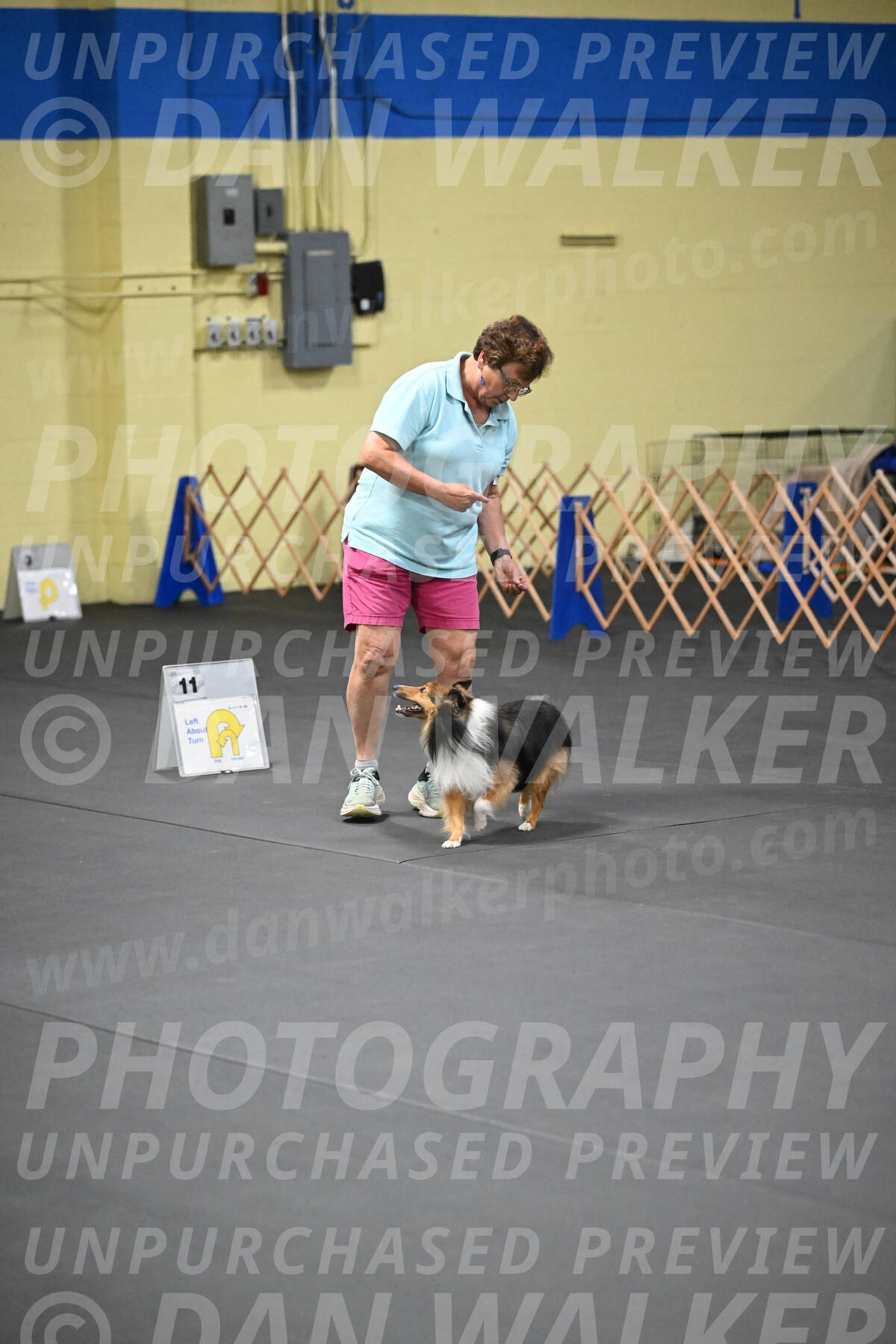 SAT503_0075