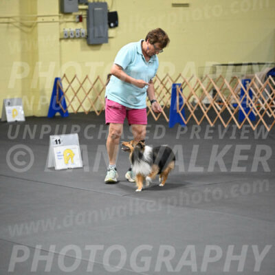 SAT503_0075