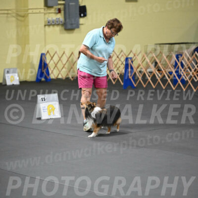 SAT503_0077