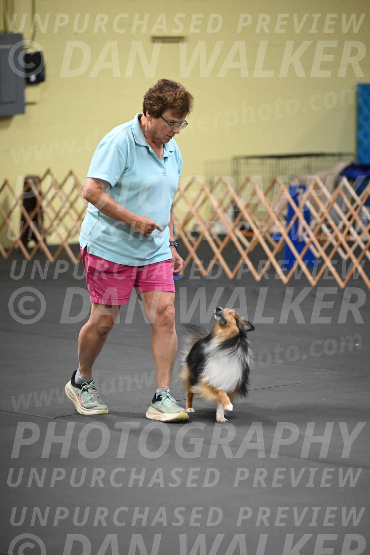 SAT503_0080