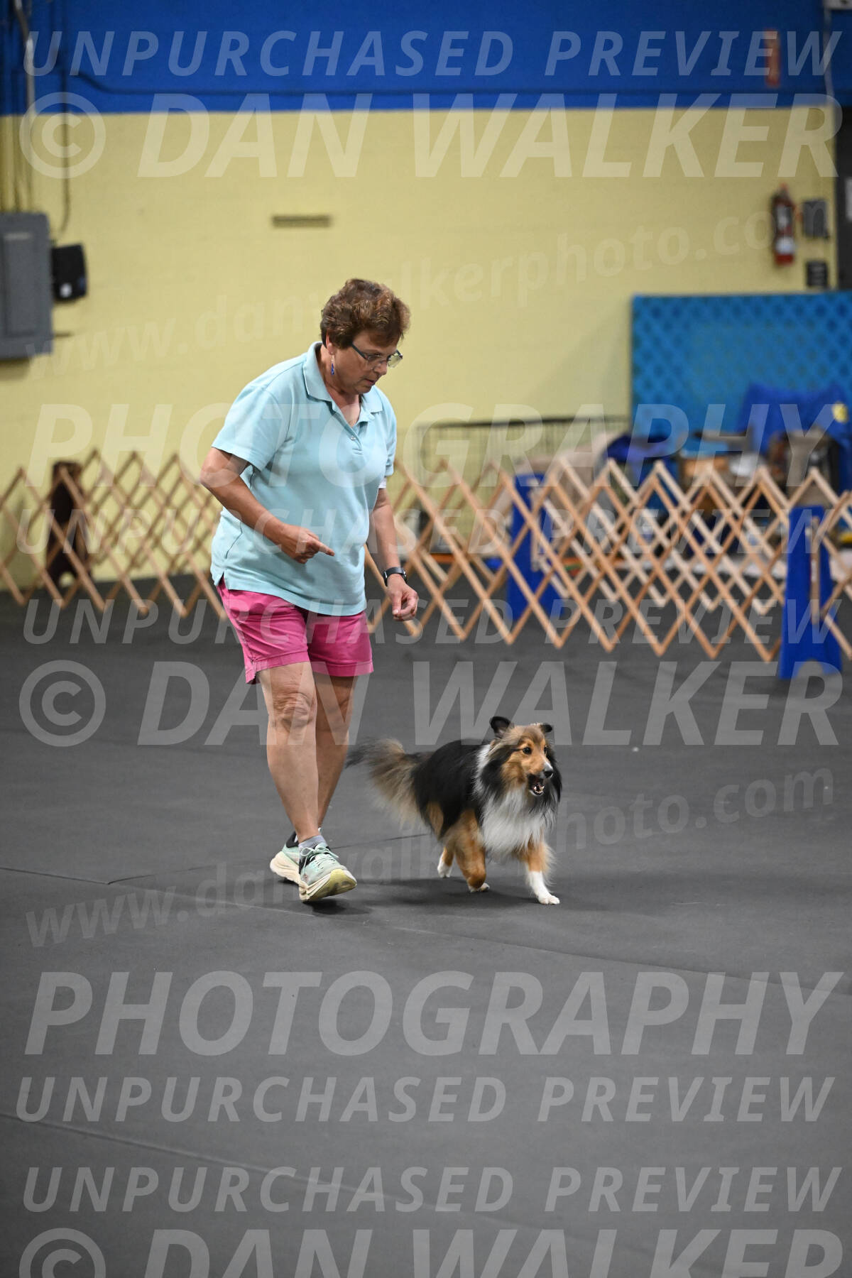 SAT503_0084