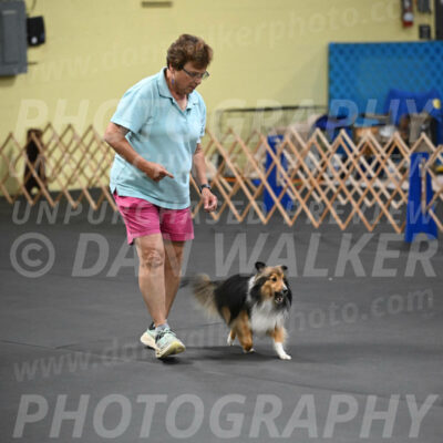 SAT503_0084