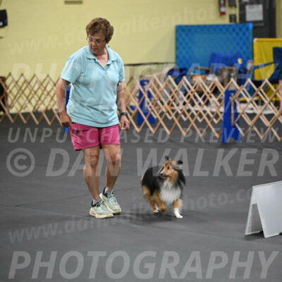 SAT503_0089