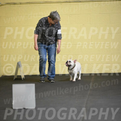 SAT504_0019