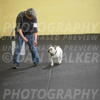 SAT504_0036