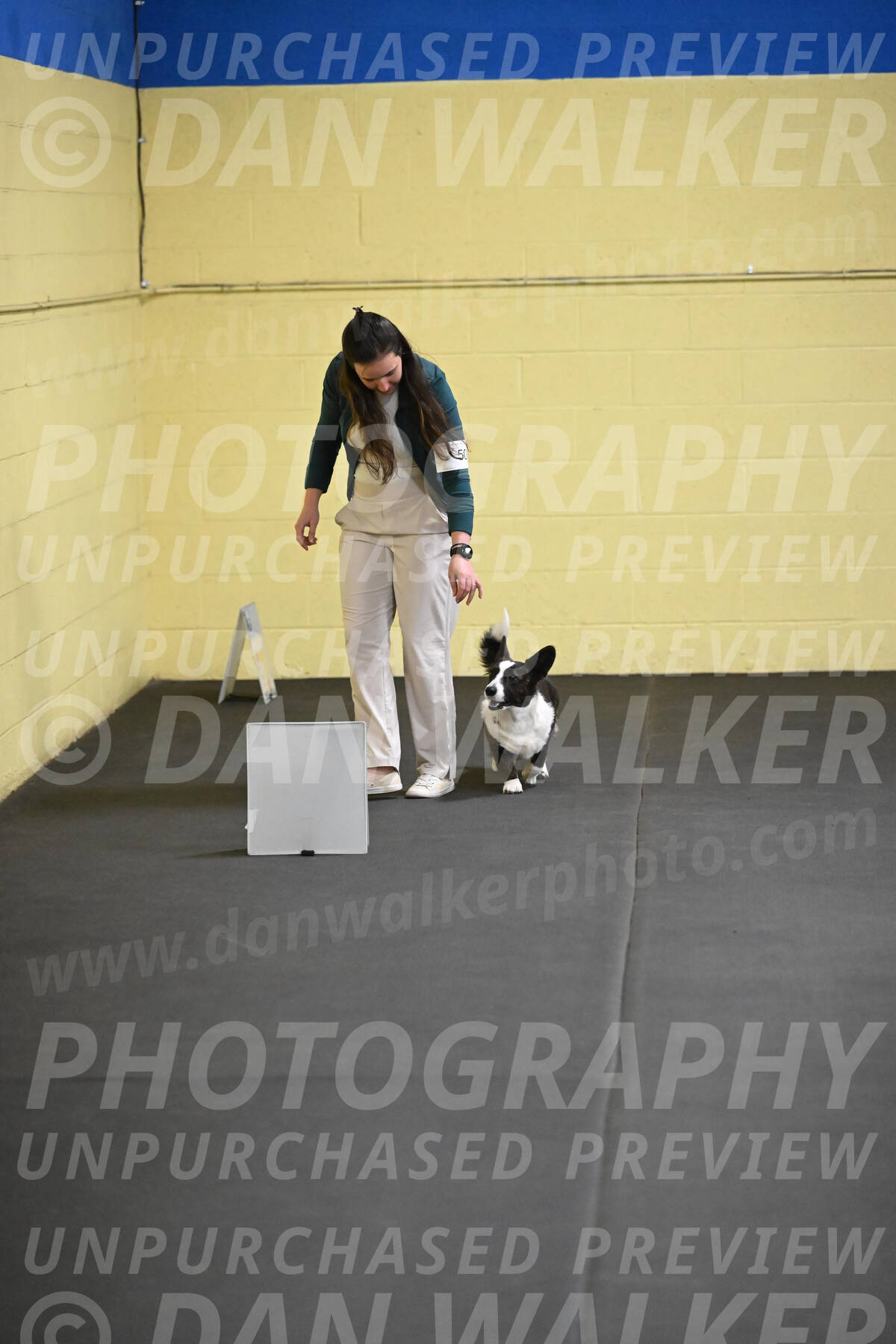 SAT505_0017