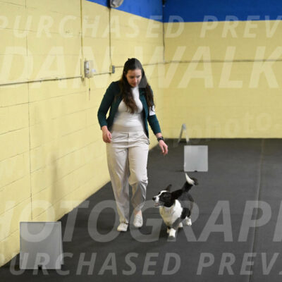 SAT505_0029