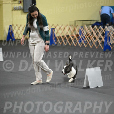 SAT505_0050