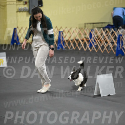 SAT505_0051