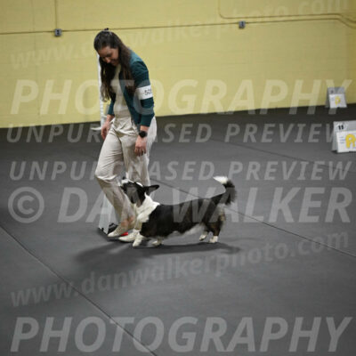 SAT505_0064