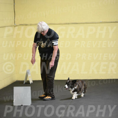 SAT506_0019