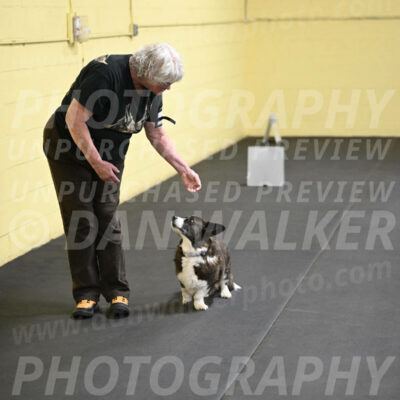 SAT506_0031