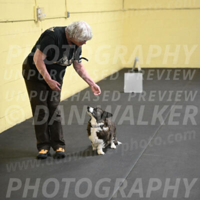 SAT506_0032