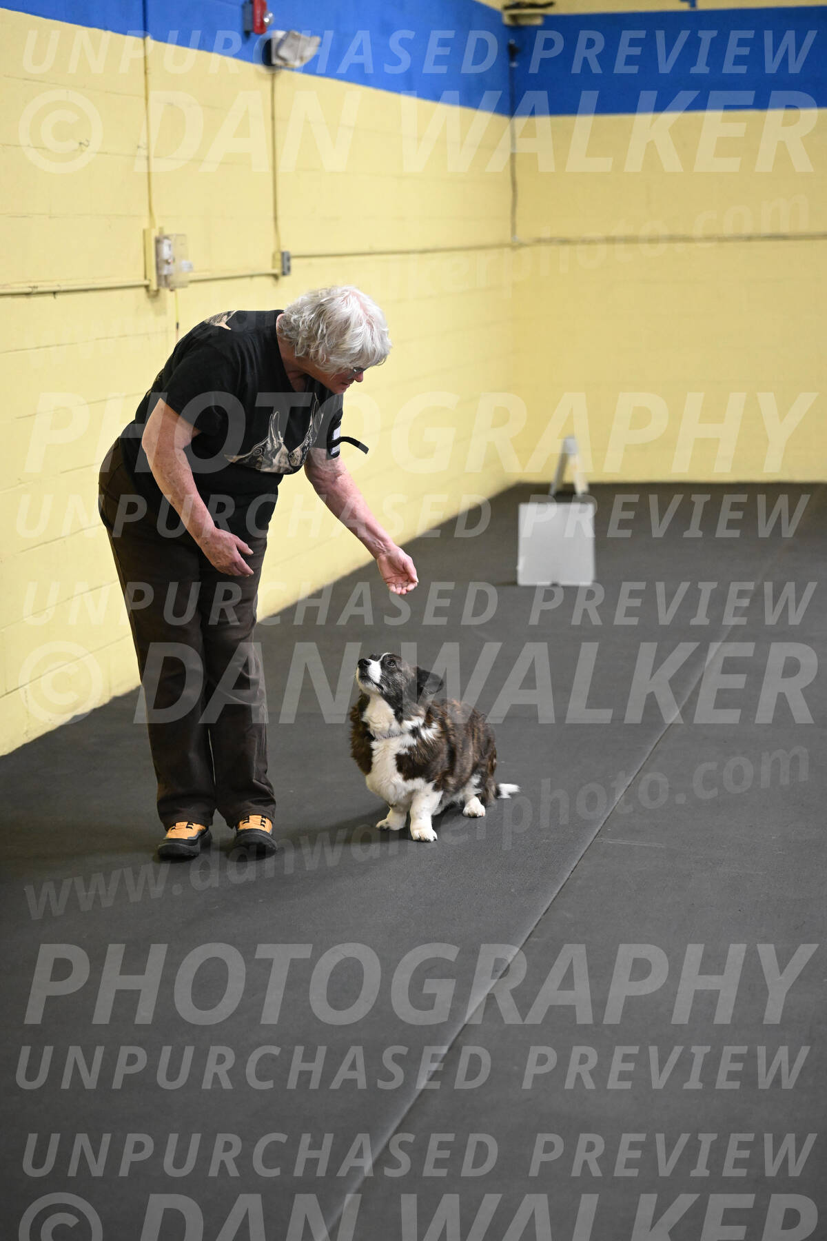 SAT506_0034