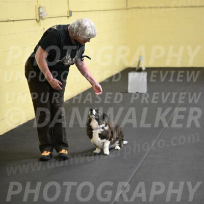 SAT506_0035