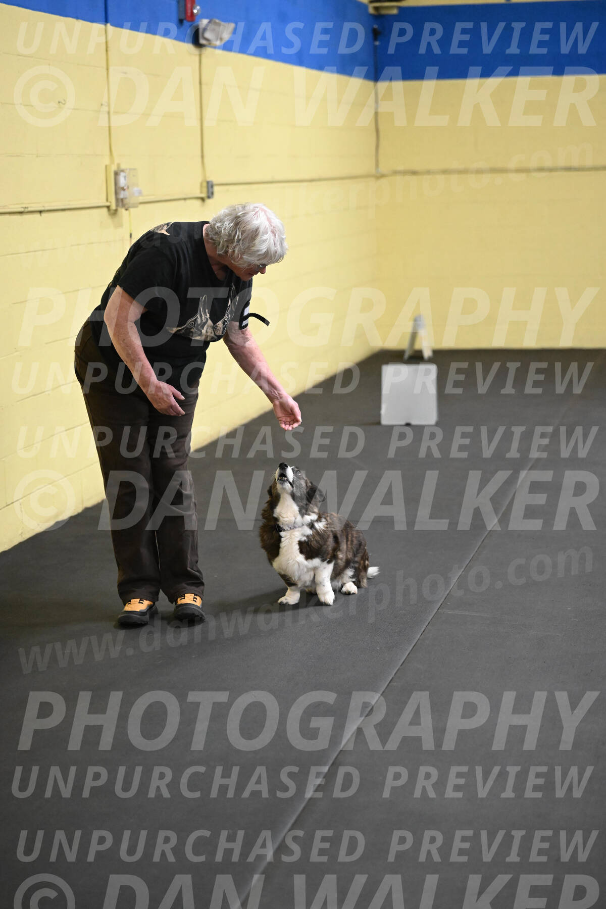 SAT506_0036