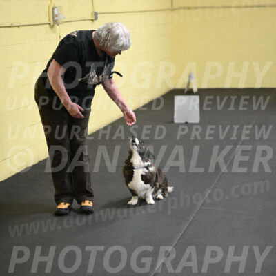 SAT506_0037