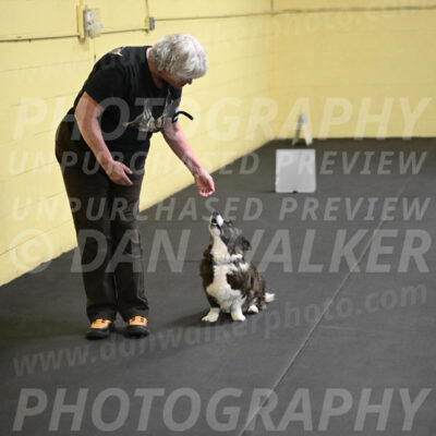 SAT506_0038