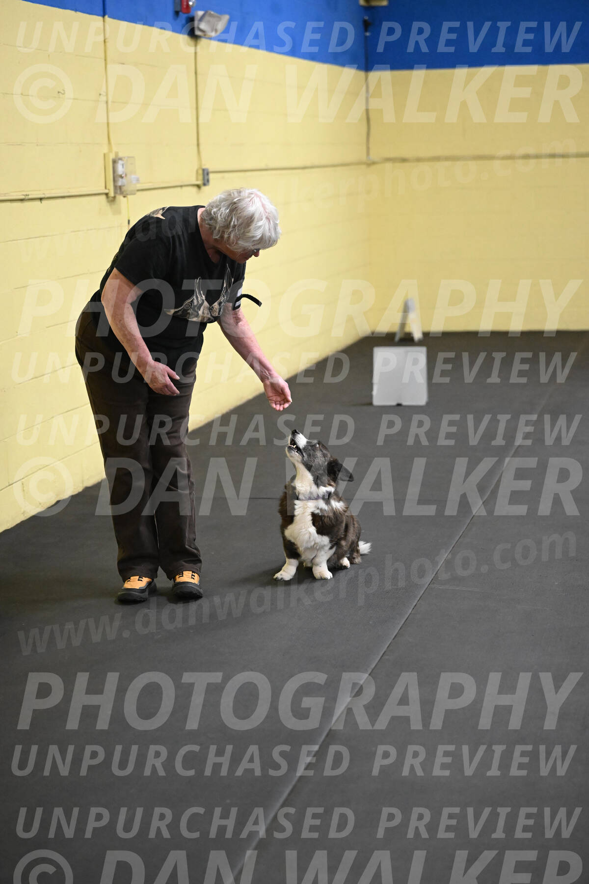 SAT506_0039