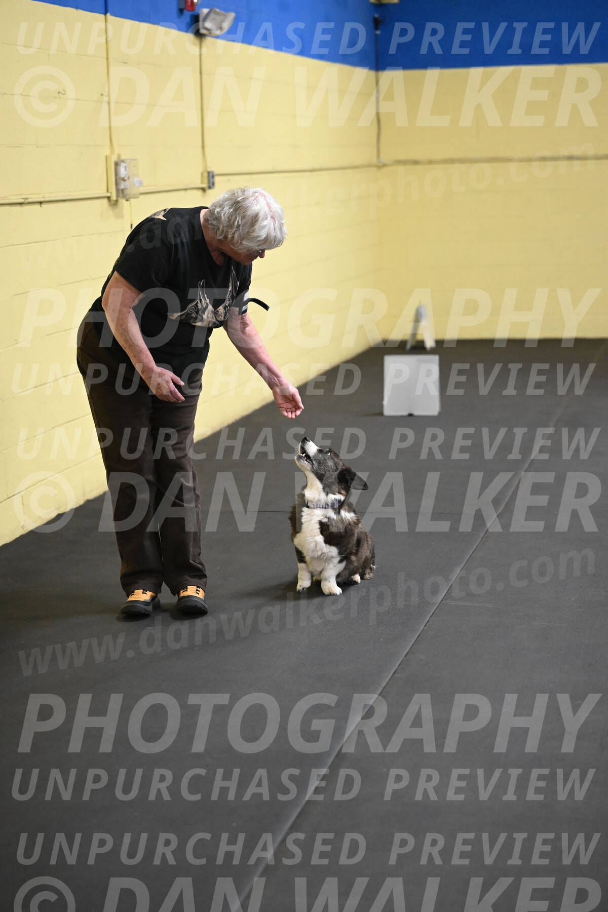 SAT506_0040