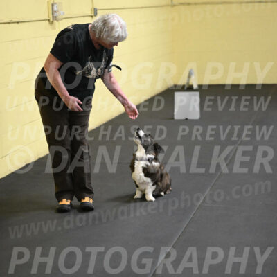 SAT506_0041
