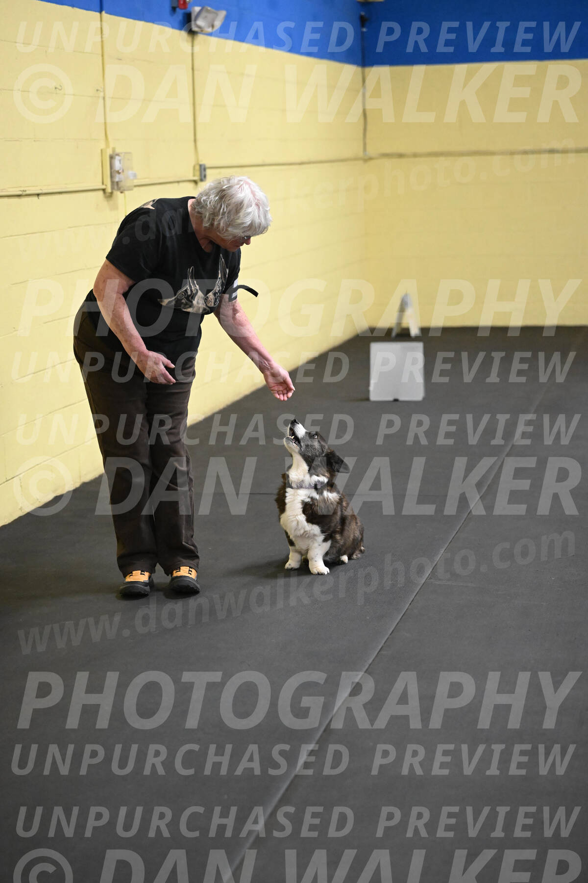 SAT506_0041