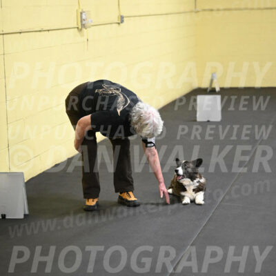 SAT506_0042