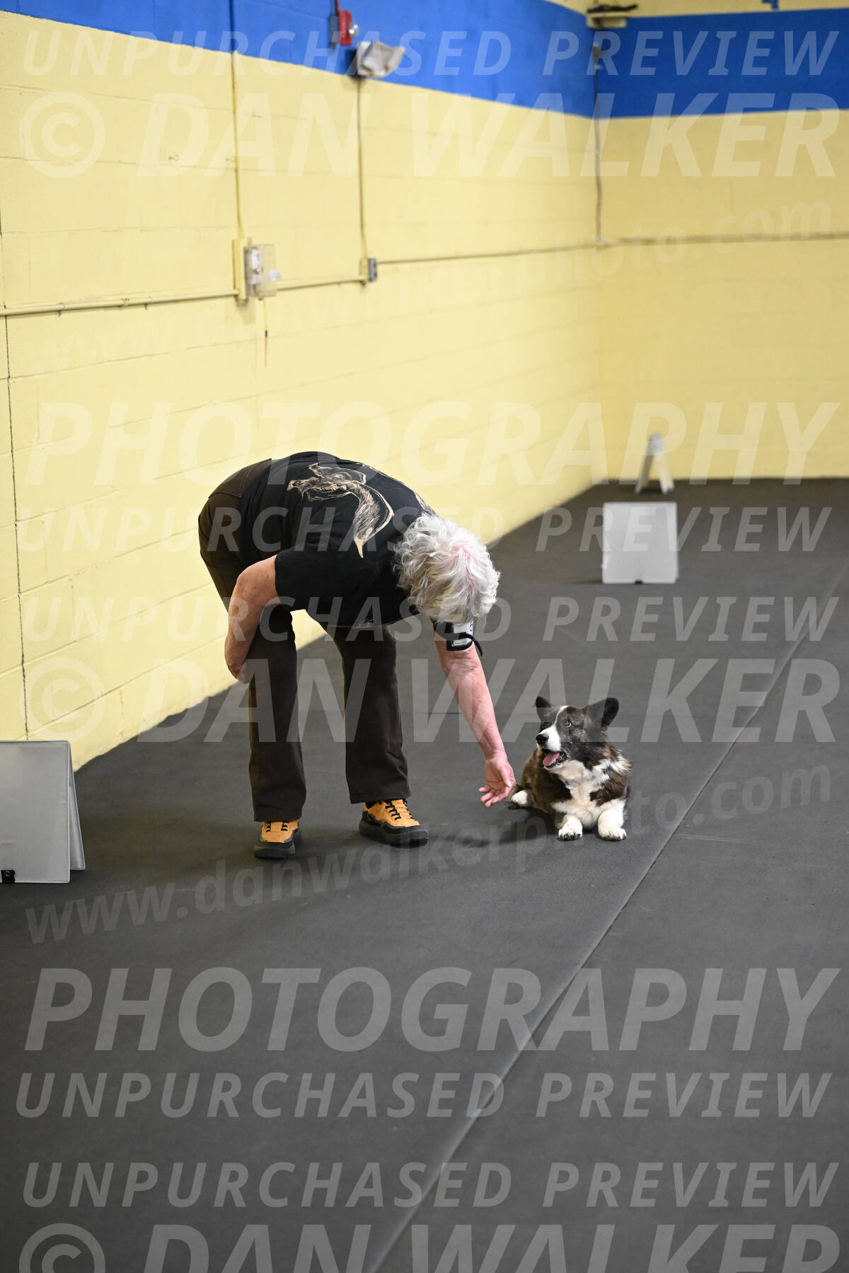 SAT506_0043