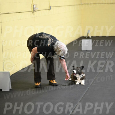 SAT506_0043