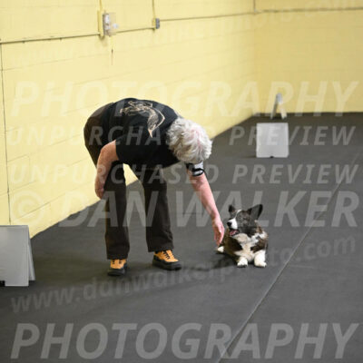 SAT506_0044